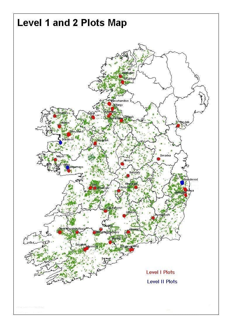 mapa Irlandii lasu